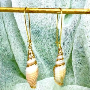 Natural Seashell Wire Earrings